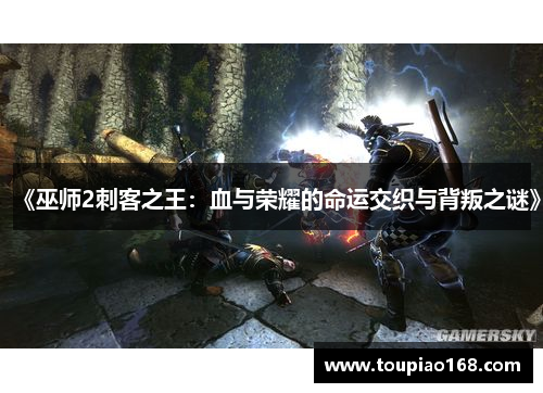 《巫师2刺客之王：血与荣耀的命运交织与背叛之谜》