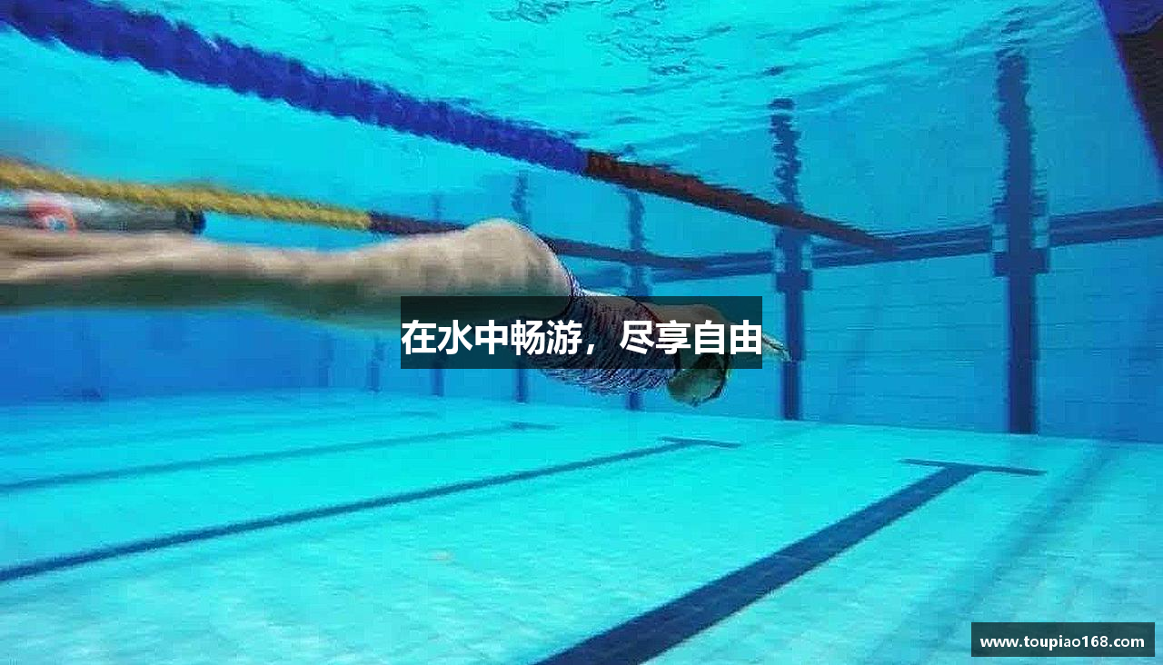 在水中畅游，尽享自由